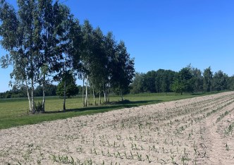 działka na sprzedaż - Teresin, Nowe Paski