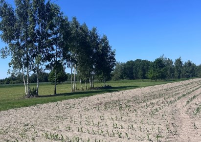 działka na sprzedaż - Teresin, Nowe Paski