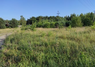 działka na sprzedaż - Nasielsk (gw), Cieksyn
