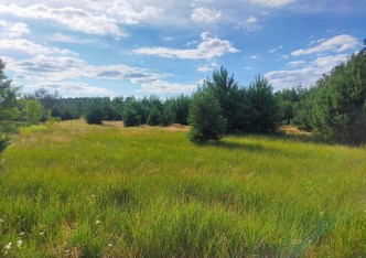 działka na sprzedaż - Iłów, Budy Iłowskie