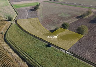 działka na sprzedaż - Kampinos, Komorów