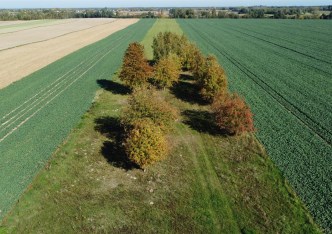 działka na sprzedaż - Kampinos, Szczytno