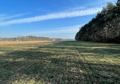 działka na sprzedaż - Strzegowo, Ignacewo
