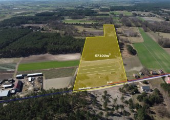 działka na sprzedaż - Iłów, Leśniaki