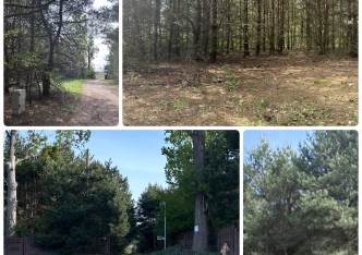 działka na sprzedaż - Leszno, Marianów