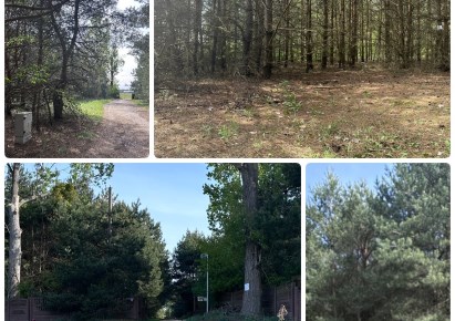 działka na sprzedaż - Leszno, Marianów