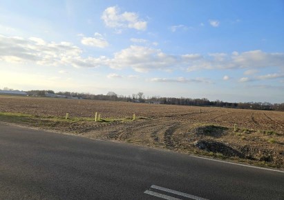 działka na sprzedaż - Strzegowo, Rydzyn Szlachecki