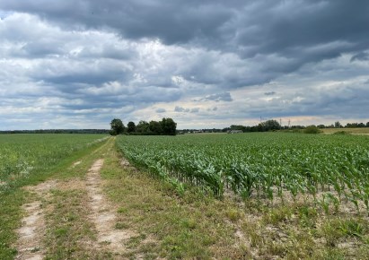 działka na sprzedaż - Regimin