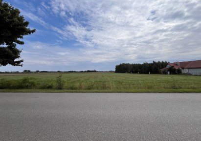 działka na sprzedaż - Płońsk (gw), Bogusławice
