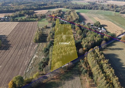 działka na sprzedaż - Glinojeck (gw), Strzeszewo