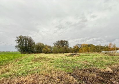 działka na sprzedaż - Błonie (gw), Bramki