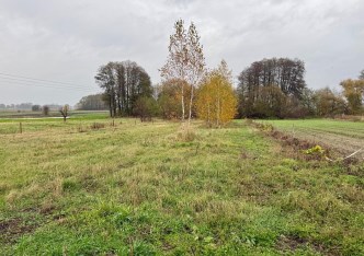 działka na sprzedaż - Błonie (gw), Bramki