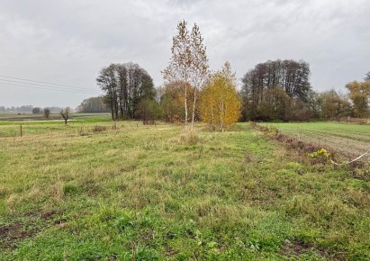 działka na sprzedaż - Błonie (gw), Bramki