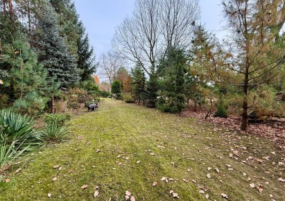 działka na sprzedaż - Glinojeck (gw), Strzeszewo