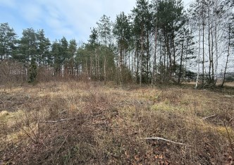 działka na sprzedaż - Nowe Miasto (gw), Wólka Szczawińska