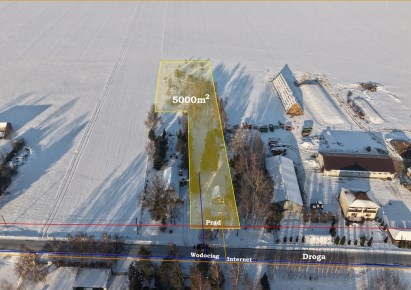 działka na sprzedaż - Płońsk (gw), Cholewy