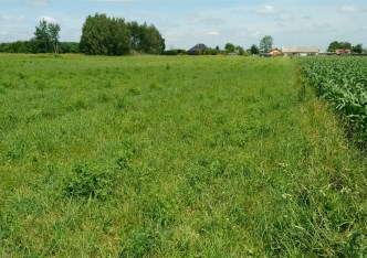 działka na sprzedaż - Kampinos, Komorów