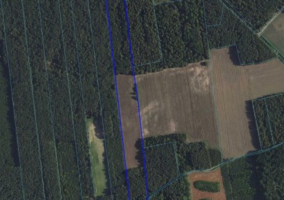 działka na sprzedaż - Ojrzeń, Zielona