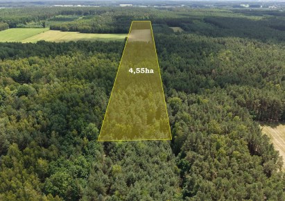 działka na sprzedaż - Ojrzeń, Zielona