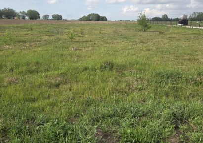działka na sprzedaż - Baboszewo, Sarbiewo