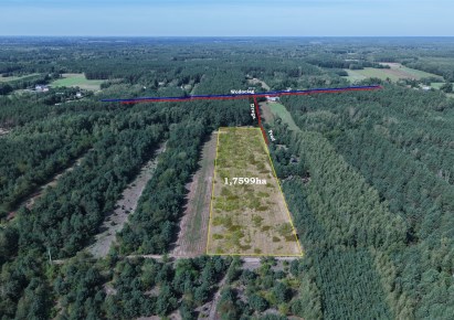 działka na sprzedaż - Nowe Miasto (gw), Tomaszewo