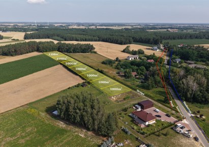 działka na sprzedaż - Załuski, Przyborowice Dolne