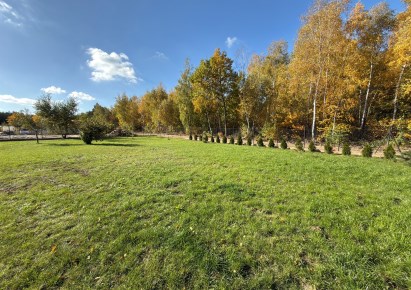 działka na sprzedaż - Załuski, Wilamy