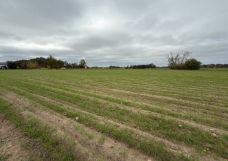 działka na sprzedaż - Płońsk (gw), Cholewy