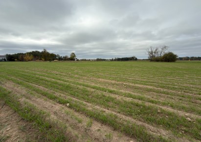 działka na sprzedaż - Płońsk (gw), Cholewy